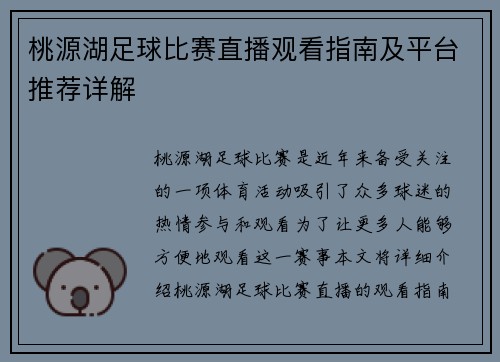 桃源湖足球比赛直播观看指南及平台推荐详解